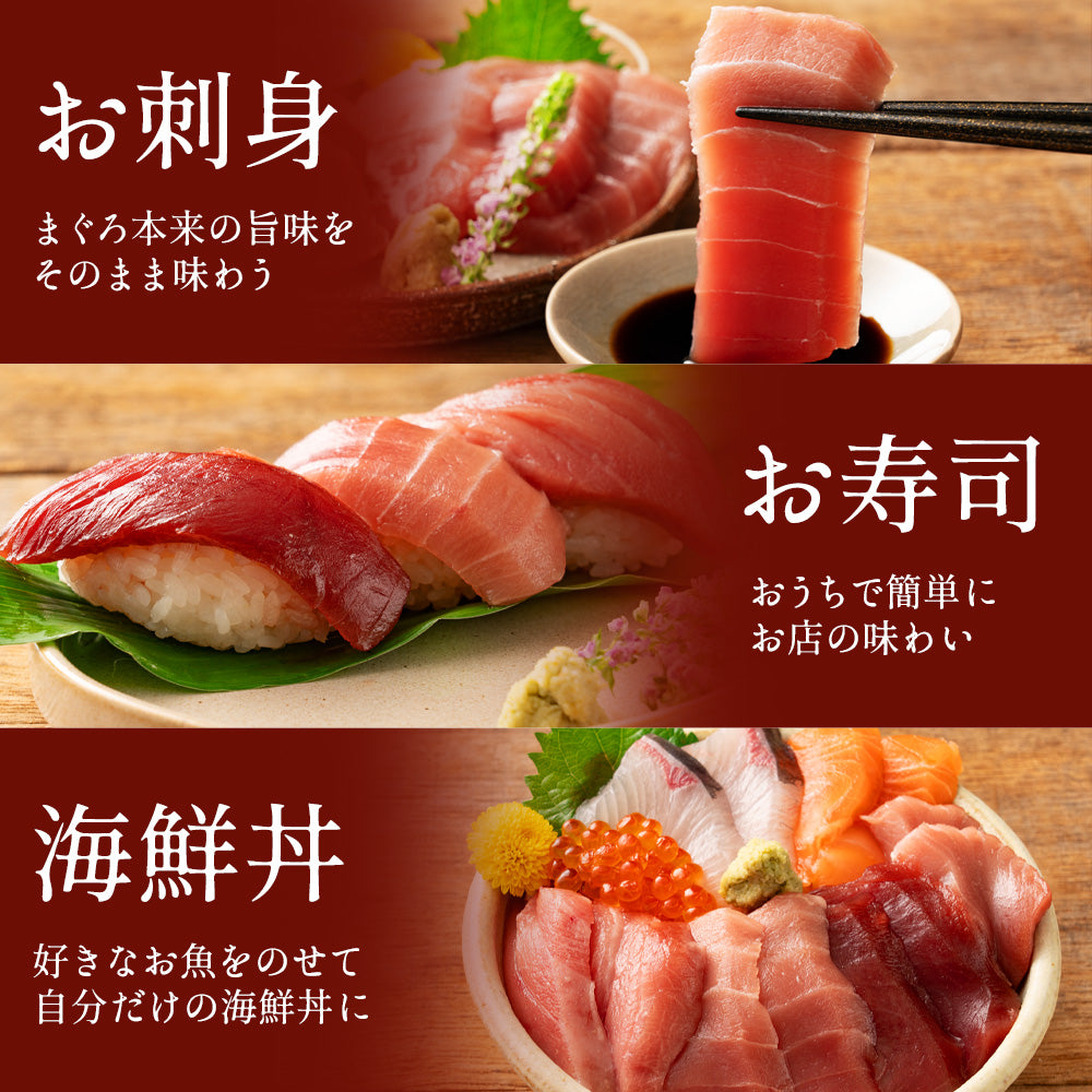 高知県産 一極 本まぐろ 大トロセット – 池澤鮮魚オンラインショップ