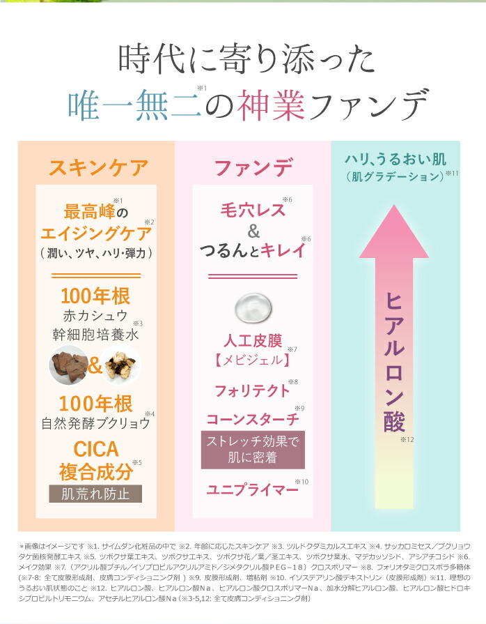 楽天市場】【再入荷待ち】送料無料 ＜ FD 本品(紫ケース) + レフィル