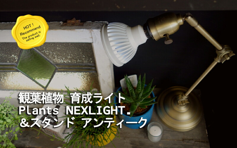 楽天市場】植物育成ライト Plants NEXLIGHT ＆スタンド アンティーク