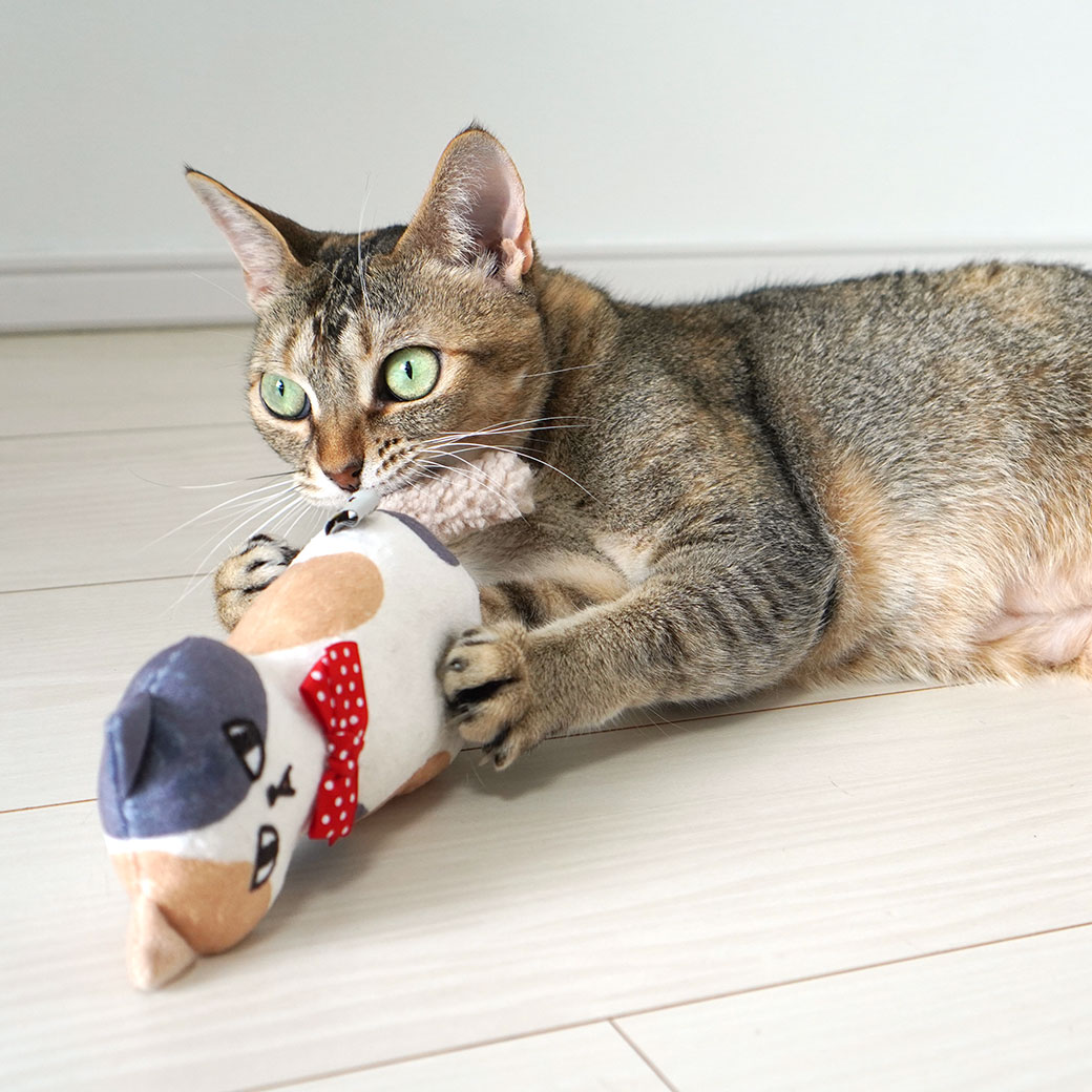 楽天市場】【 猫 おもちゃ 】iCat ケリケリおこニャン キャットニップ