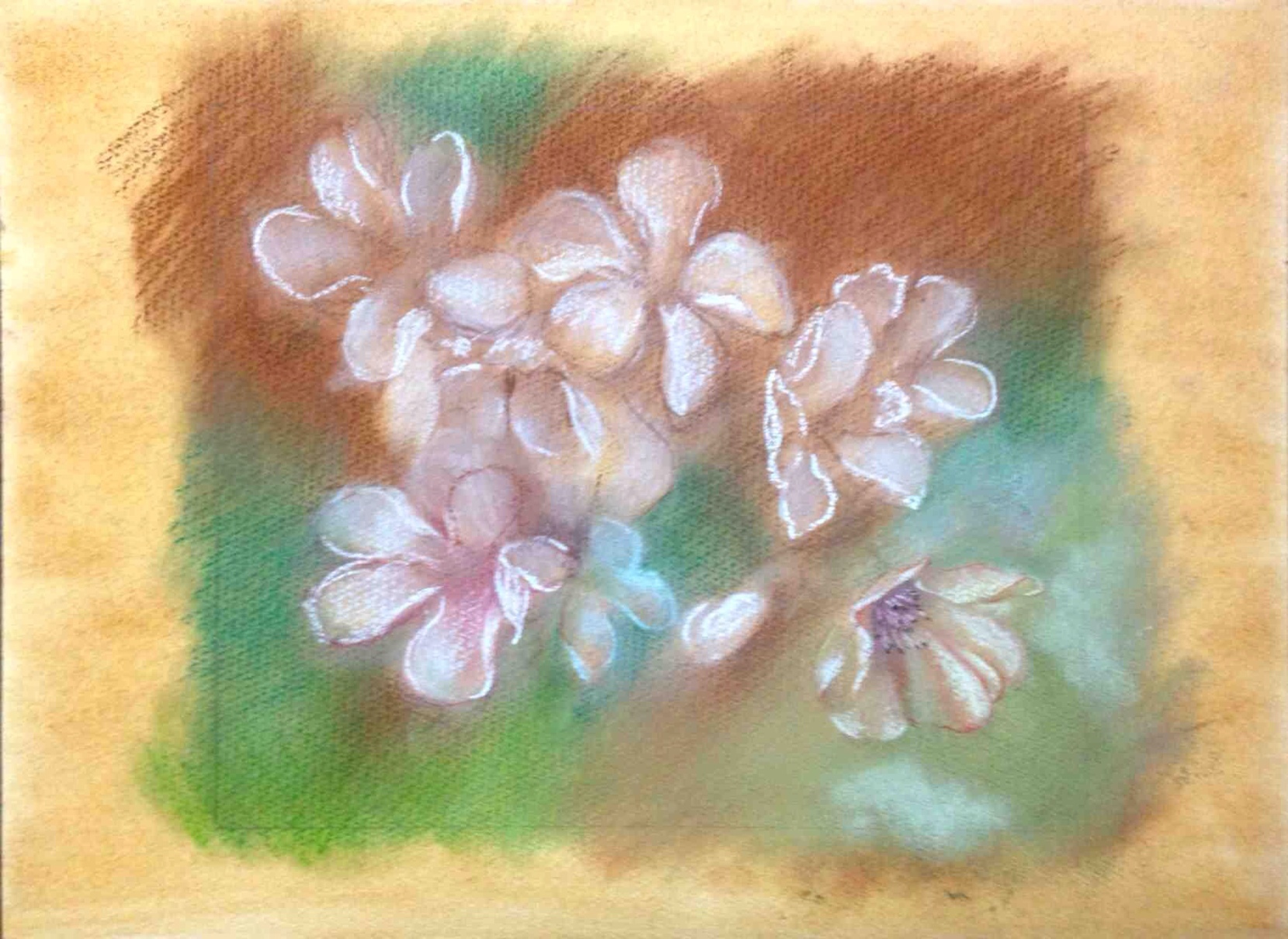花 014」花を丁寧に描きます。パステル画の制作過程 | パステル画制作