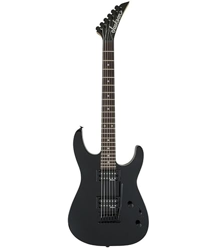 Amazon | FERNANDES フェルナンデス エレキギター TEJ-STD 2S '19 BLK