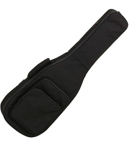 Amazon.co.jp: FERNANDES ZO-3用ソフトケース : 楽器・音響機器