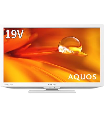 Amazon | 東芝 19V型 液晶テレビ レグザ 19S22 ハイビジョン 外付けHDD