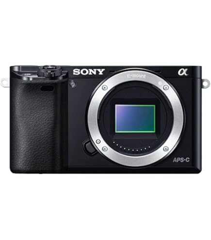 Amazon | SONY ミラーレス一眼カメラ α NEX-7 ボディ ブラック NEX-7