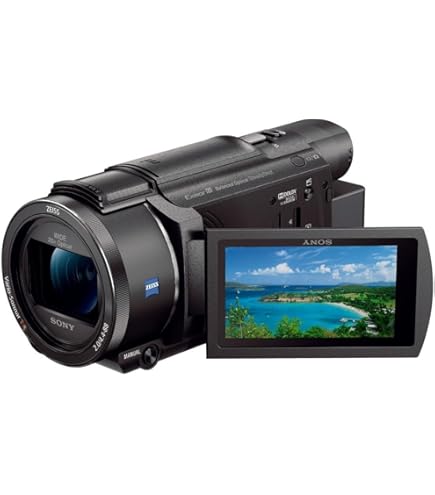Amazon.co.jp: SONY ビデオカメラ FDR-AX100 4K 光学12倍 ブラック