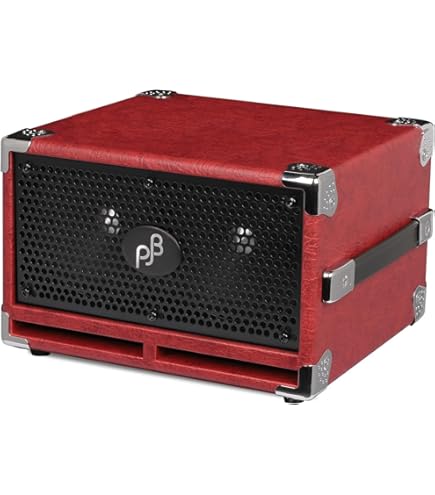 Amazon.com: Phil Jones Bass X4C Nanobass 35-watt Multi-Instrument
