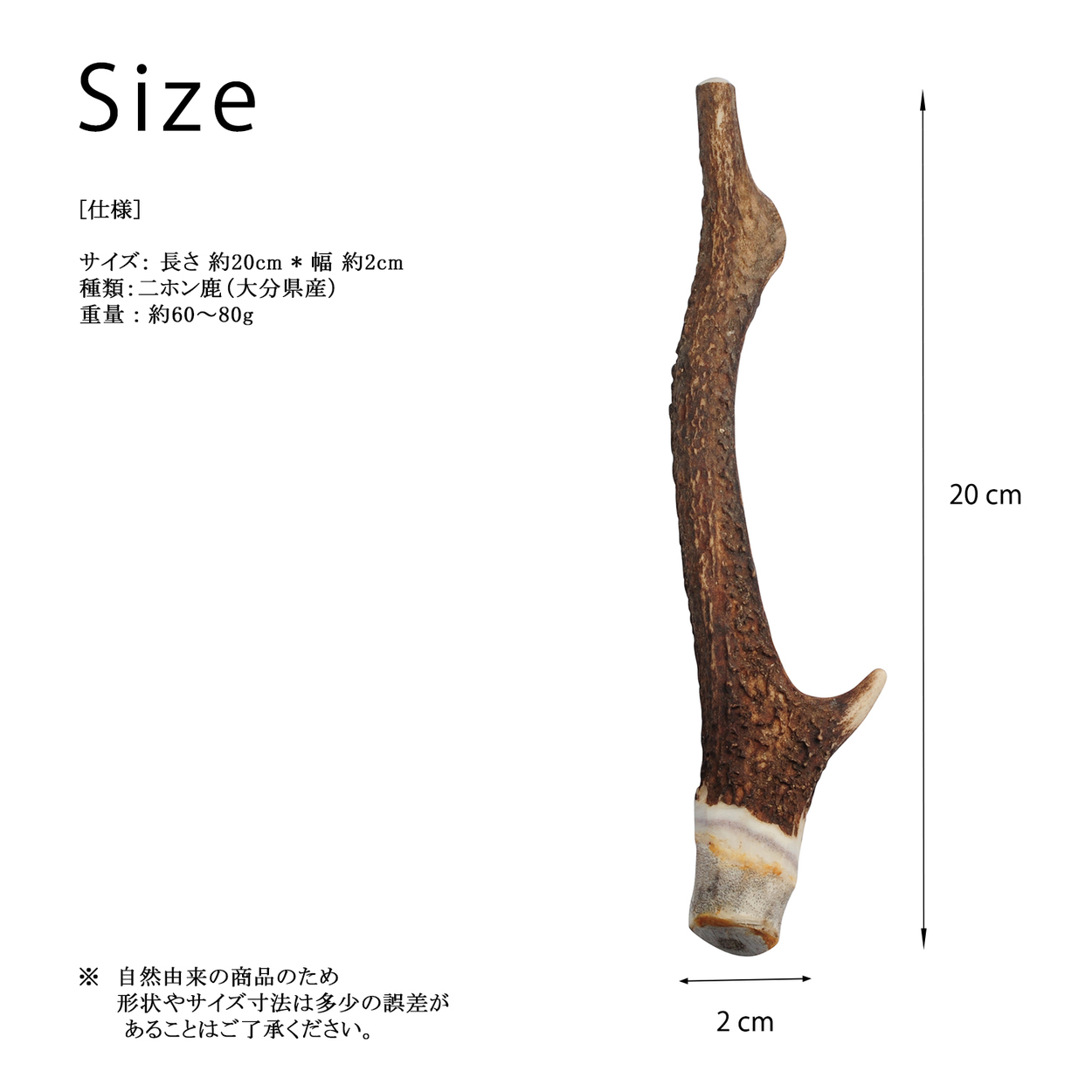 安心・安全の国産 国産の二ホン鹿の角【20cm 小型犬】鹿の角 犬