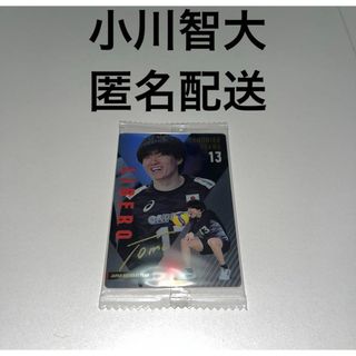 オリックス・バファローズ - オリックスバファローズ オリ姫 アクリル