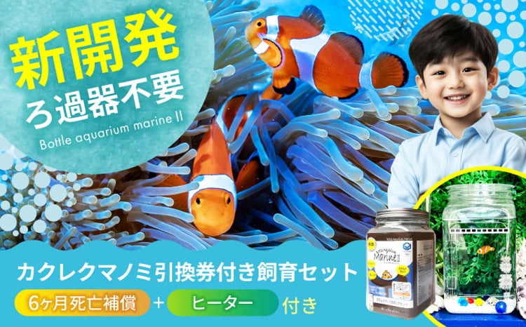 水槽 カクレクマノミ引換券付き飼育セット「 アクアリウムマリン2」（6
