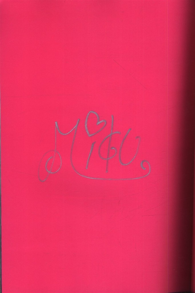 サイン入り 石田未来 pink 石田未来写真集