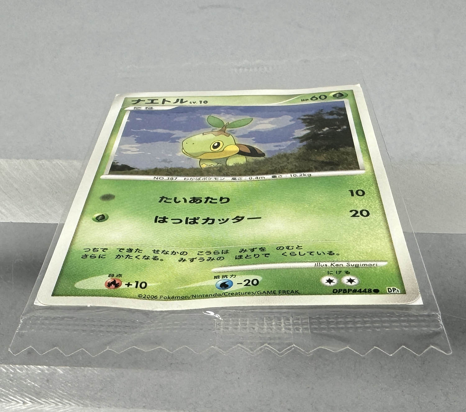 5029] ポケモンカード(Dpシリーズ) ナエトル(ミニサイズ)