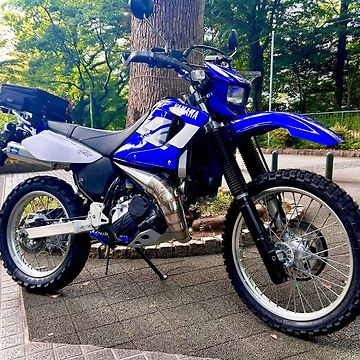 DT230 ランツァ LANZA(4TP-006) についていたRSVチャンバー＋プロ