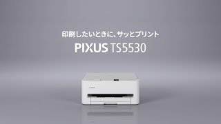 キヤノン TS5530 インクジェット複合機 PIXUS TS5530 PIXUS ホワイト