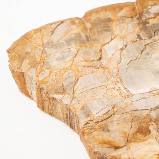 OAK Petrified Wood 【珪化木 Accessory Tray 「WS001」】 ー