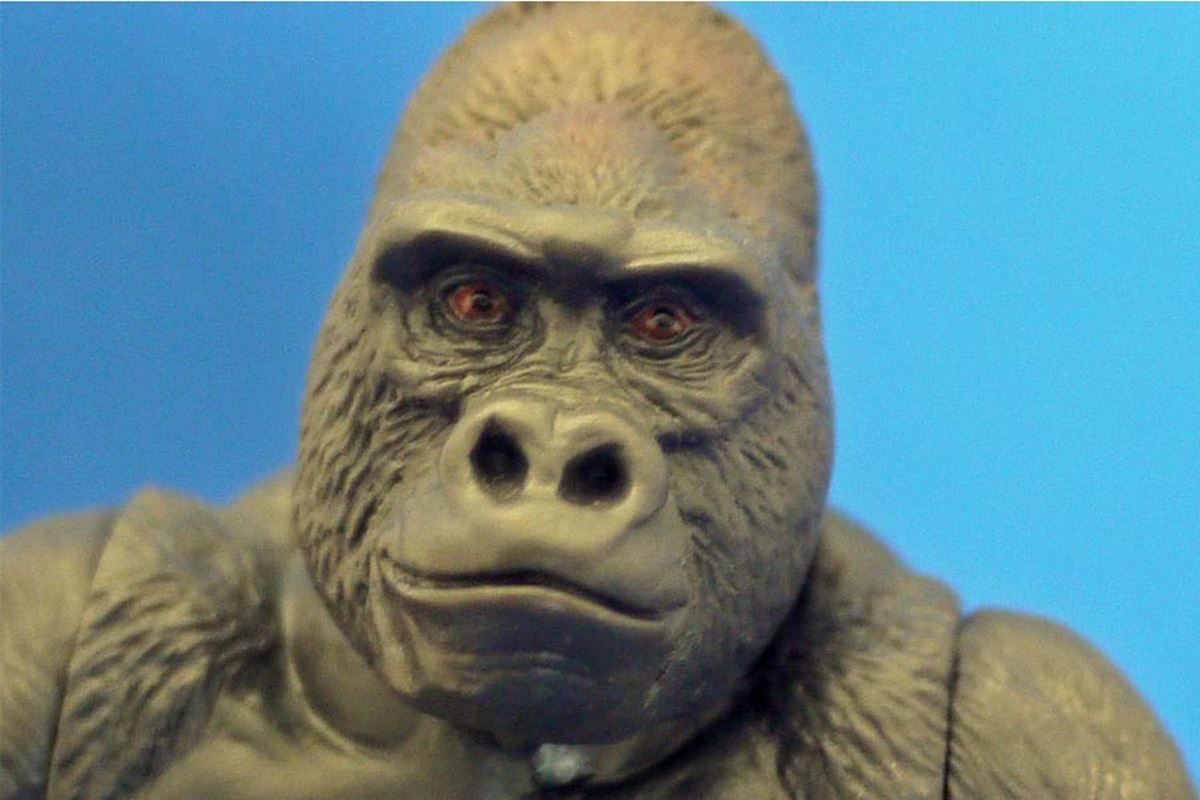 あの「海洋堂」が本気でゴリラを作ったらこうなりました - 価格.com