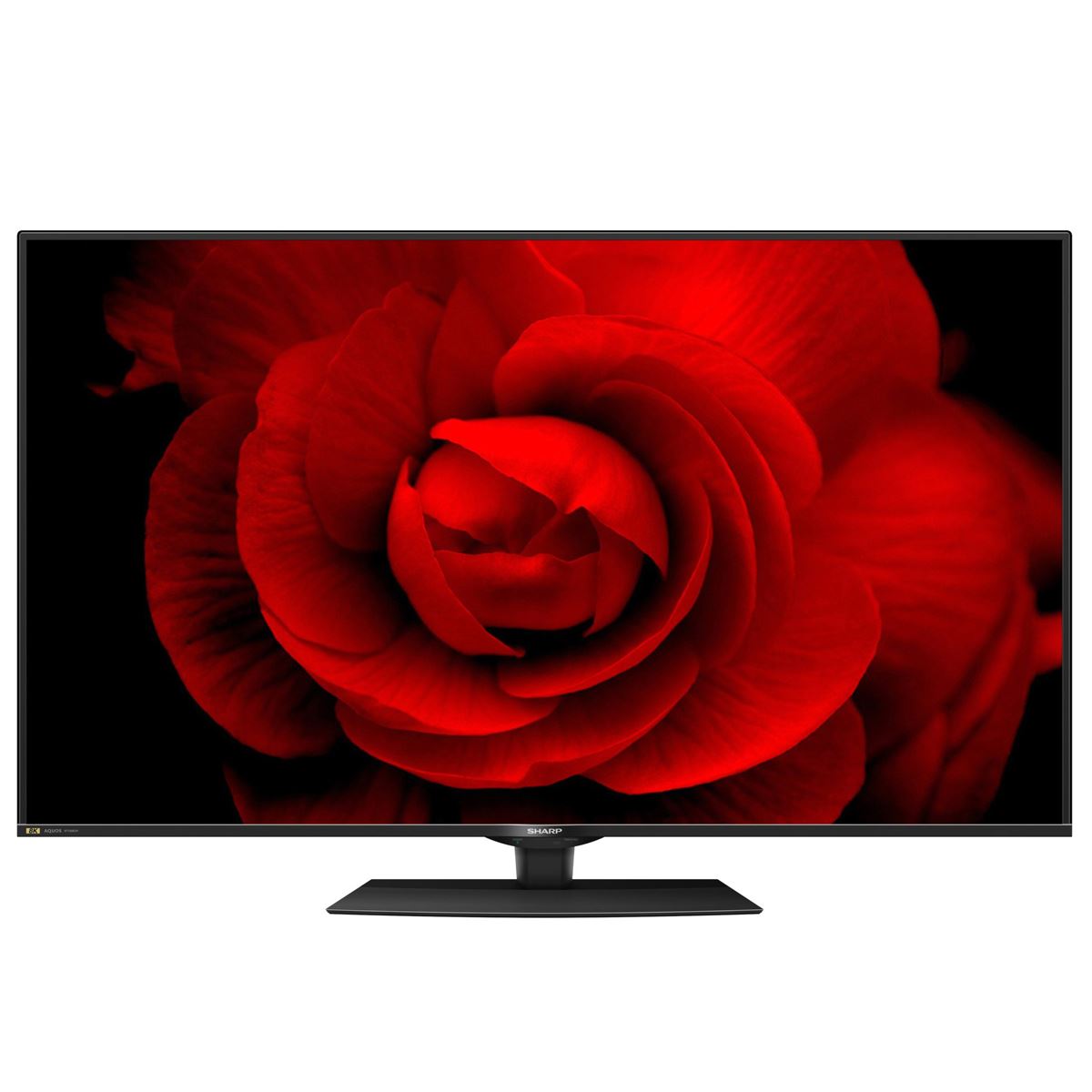 60型はチューナー内蔵でアンダー50万円！ シャープ最新8K液晶テレビ