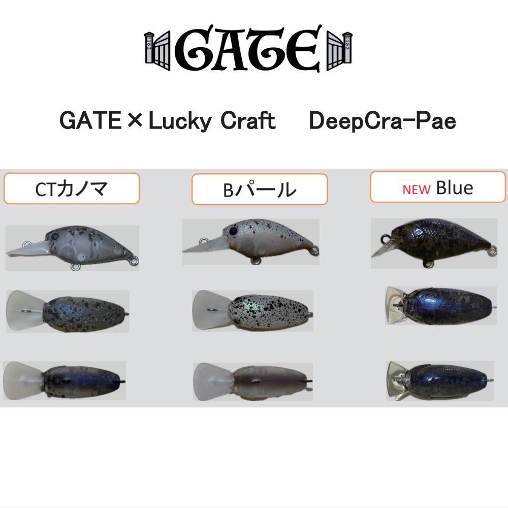 GATE ×ラッキークラフト ディープクラピーGS2 キャンタ・バヤシカラー