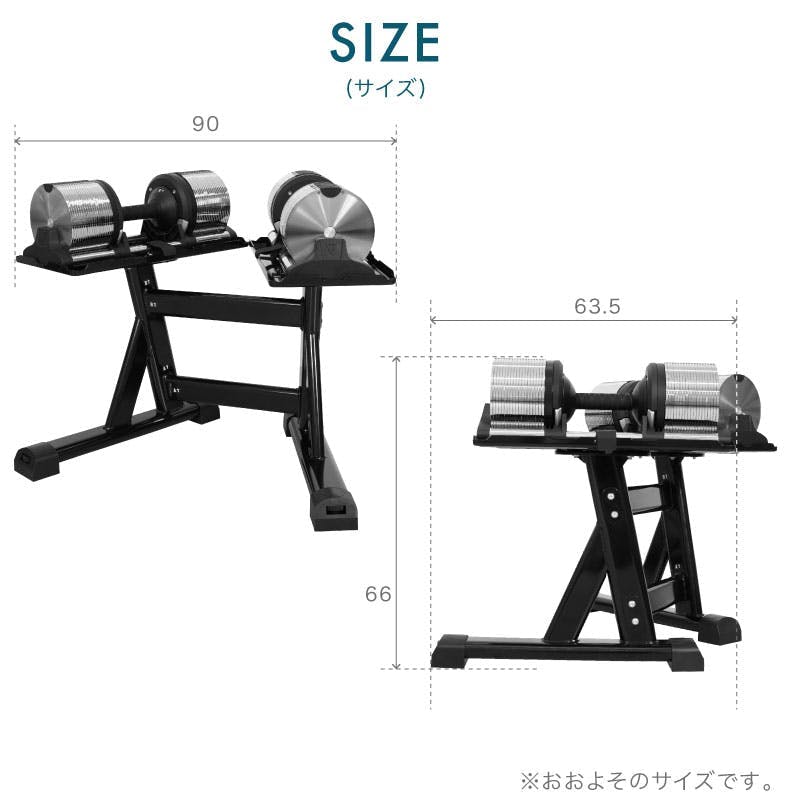 ライシン ヘリックスミラー 40kg 1kg刻み シルバー 2個 スタンドPro