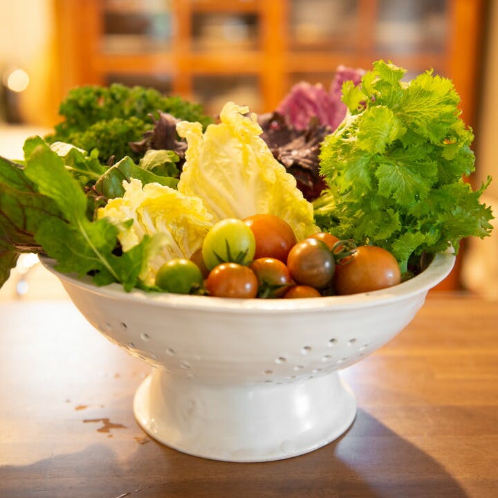 富士ホーロー コランダー ホーロー 22cm【ほうろう 琺瑯 水切りボウル