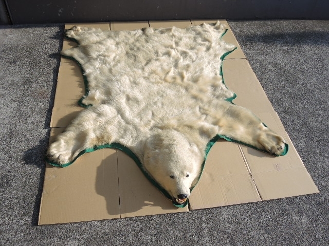 白熊(シロクマ)の剥製 ラグマット】洋食器・インテリアの買取実績一覧