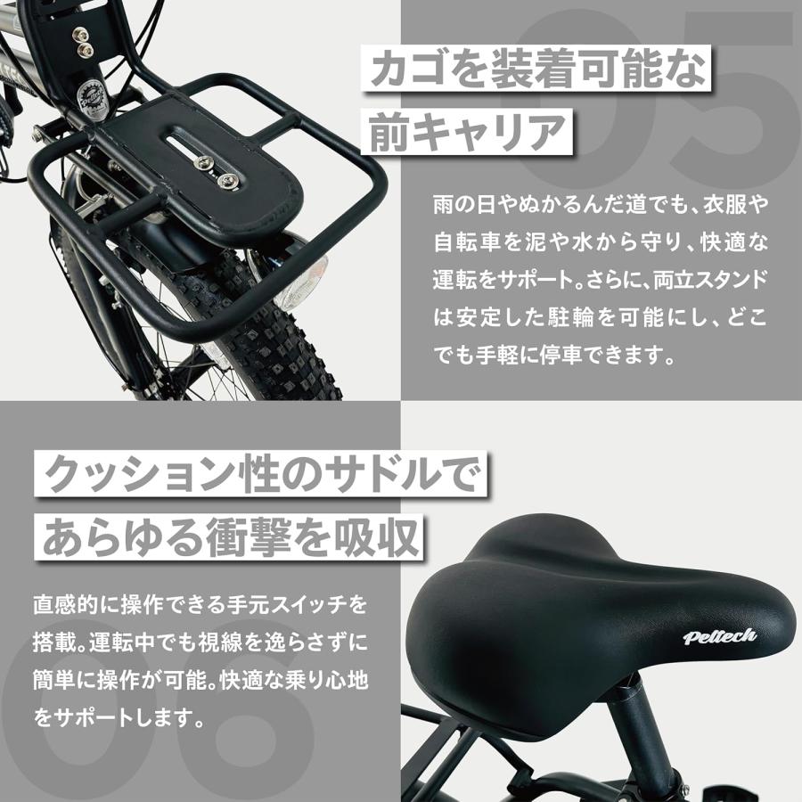 PELTECH（ペルテック） X-Adventure ハイパワーモデル TDN-246L