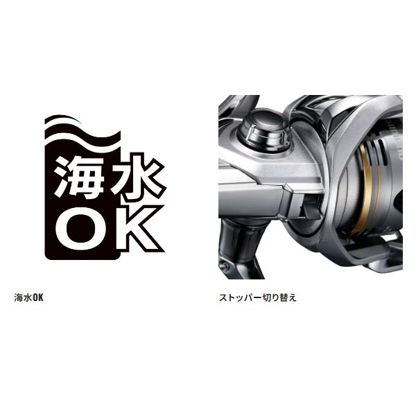 シマノ（SHIMANO） 爆買 (取寄せ 4月末頃メーカー生産予定) 23 セドナ