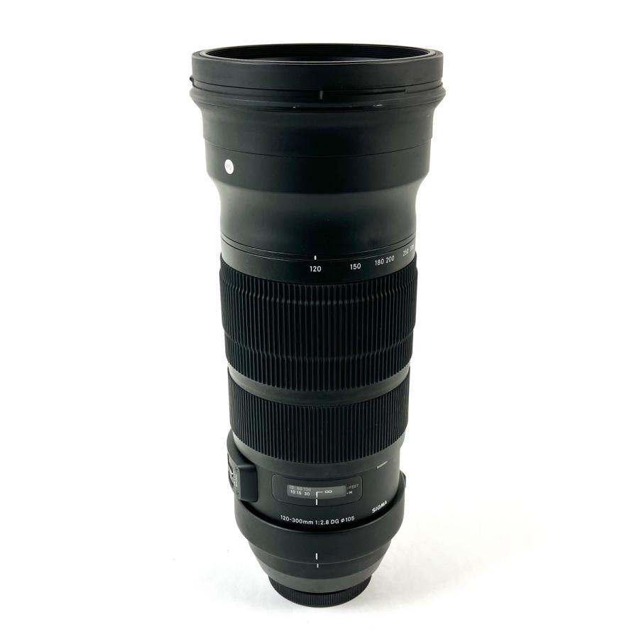 シグマ SIGMA Sports 120-300mm F2.8 DG OS HSM (キヤノンEF用) 一眼