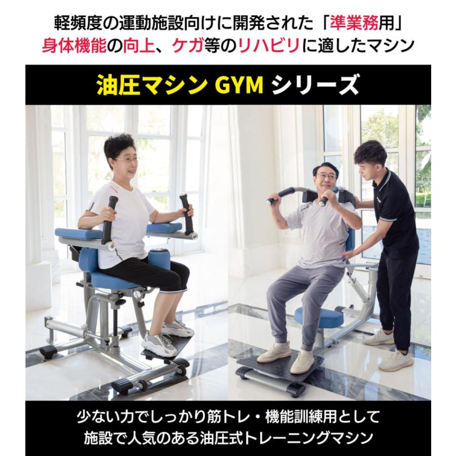 DAIKOU（ダイコー） ロータリートーソ 油圧マシン DK-670 機能訓練