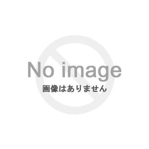 BRIDGESTONE(ブリヂストン)キャディバッグ TOURSTAGE CBTV26 メンズ