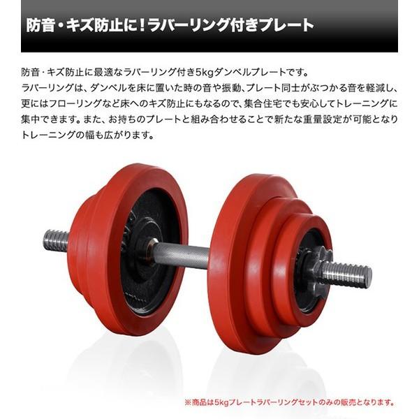 ダンベル バーベル 用 プレート 5kg 2個セット ブラックアイアン +