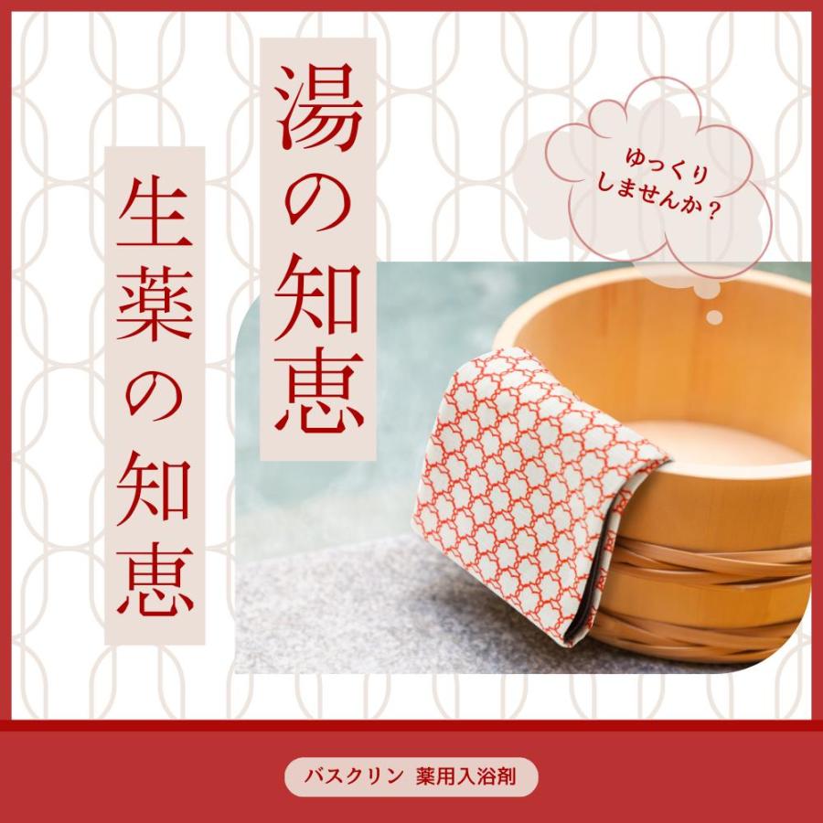 バスクリン 薬用入浴液 入浴剤 薬用入浴剤 本体 詰め替え 詰替え 生後3