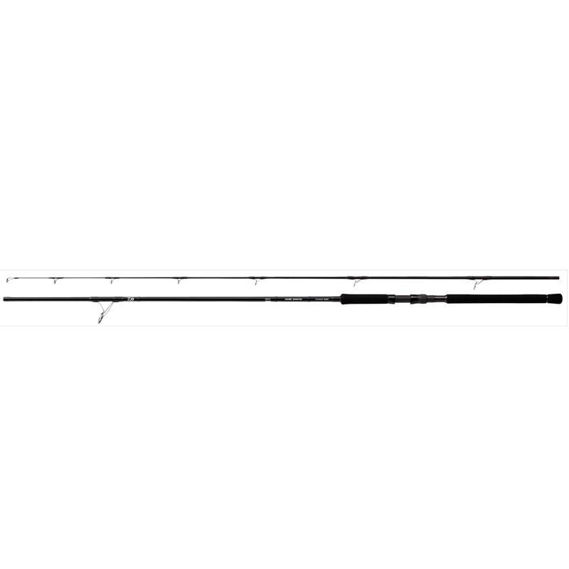 DAIWA（ダイワ） ショア・スパルタン SD 100MH ／ショアジギ