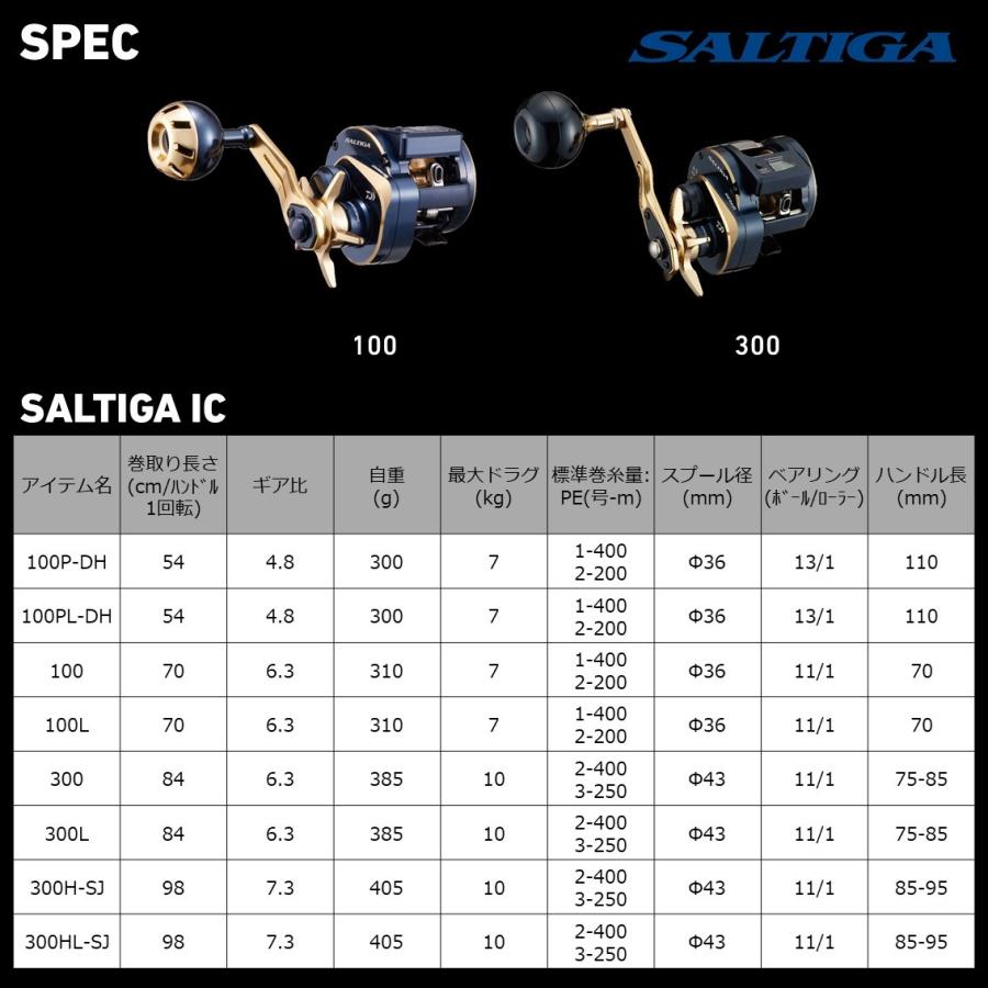 DAIWA（ダイワ） 21ソルティガ IC 300HL-SJ カウンター付リール