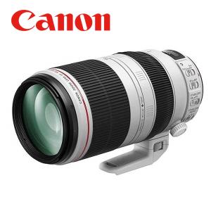 EFレンズ キヤノン Canon EF 100-400mm F4.5-5.6L IS II USM フル
