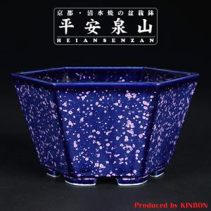 萬瑠平雷文楕円鉢 盆栽鉢 鉢 盆器 植木鉢 浮彫 bonsaipot 常滑 とこ