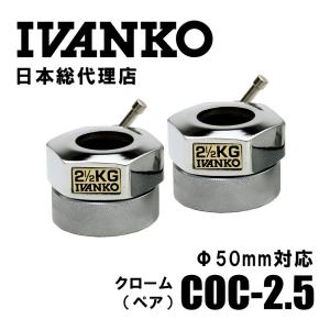 20kg IVANKO イヴァンコ スタンダードペイントプレート IBPNEZ-20 日本