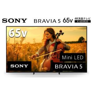 VIERA パナソニック Panasonic 49V型 液晶テレビ TH-49D300 49インチ