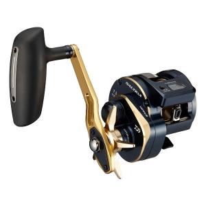 DAIWA（ダイワ） 25 ソルティガ 300H 右ハンドル (2025年モデル