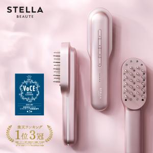 GMコーポレーション デンキバリブラシ(R)2.0（DENKI BARI BRUSH(R)2.0