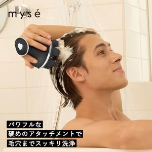 ARTISTIC＆CO. ARTISTIC&CO ION イオン導入導出美顔器 スキン