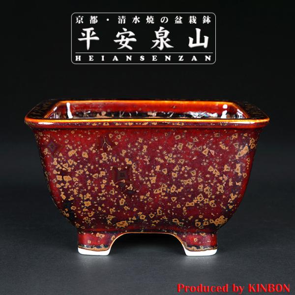 盆栽鉢 植木鉢 「平安泉山辰砂釉星結晶正方鉢」 山草鉢 清水焼 京焼