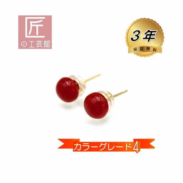 血赤珊瑚 ピアス モチ型 5.5ミリ 高知産血赤珊瑚（のし等ギフト対応