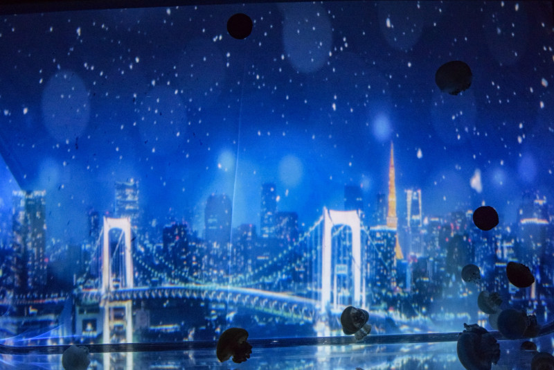 すみだ水族館で体感型アート「雪とクラゲ」が開催！ 屋内で幻想的な冬