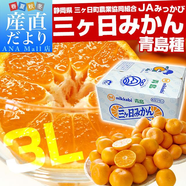 静岡県より産地直送 JAみっかび 三ケ日みかん (青島種) 3Lサイズ 7キロ