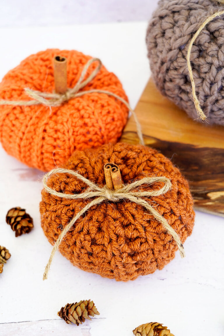 Pumpkinpattern5-768x1152.jpg