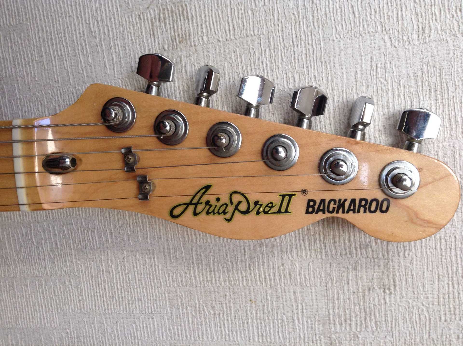 ARIA PROⅡ TE-500N BACKAROO: 昔に比べりゃ 金も入るし・・・・