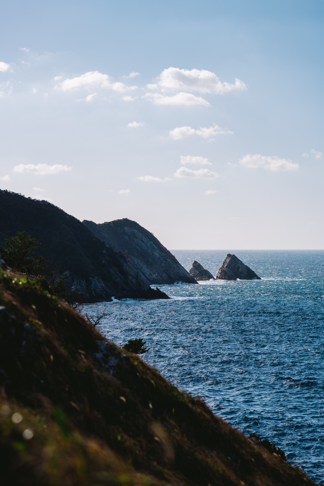 矢堅目公園｜写真｜ライブラリ｜九州観光機構 KYUSHU ONLINE MEDIA CENTER