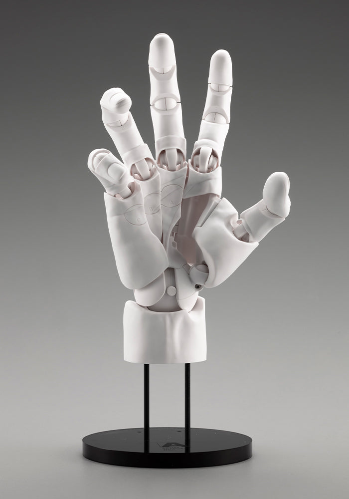 ARTIST SUPPORT ITEM HAND MODEL MEN'S/R -WHITE- – KOTOBUKIYA US ONLINE
