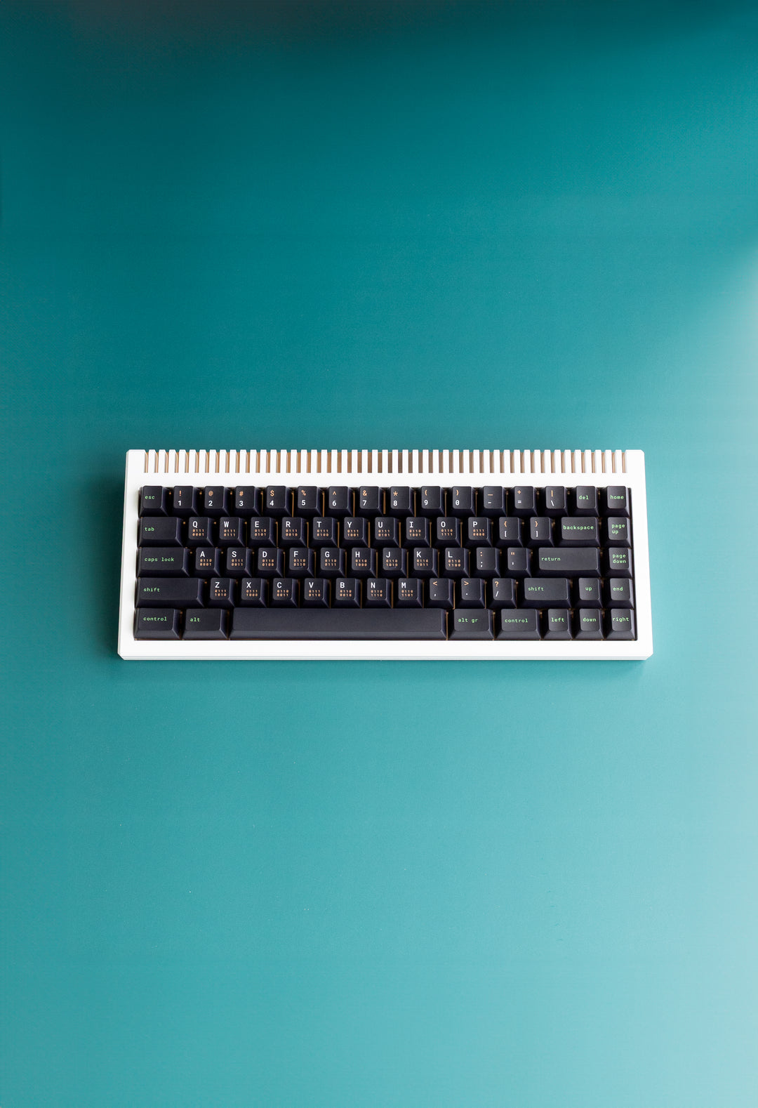 7P0A0217-Edit_1080x.jpg?v=